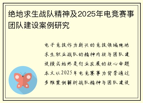 绝地求生战队精神及2025年电竞赛事团队建设案例研究